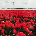 Holiday home Aan Zee *