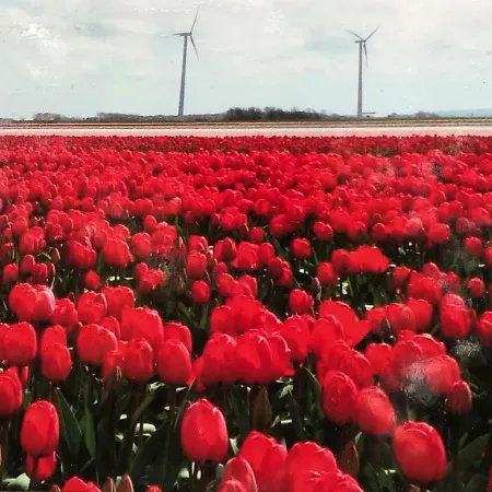 Holiday home Aan Zee *