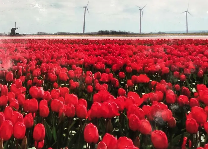 Vakantiehuis Aan Zee *